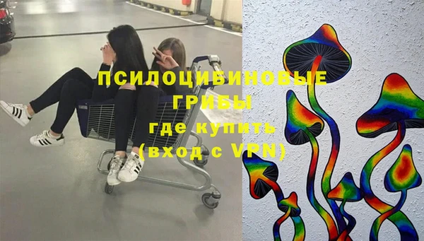 хмурый Мегион