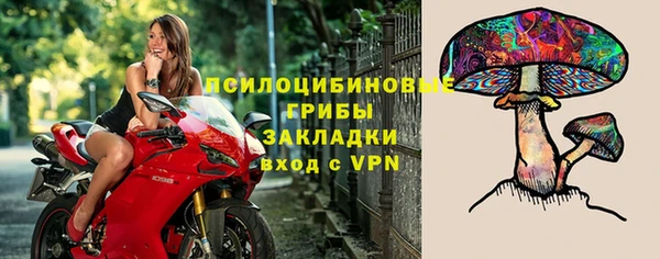 хмурый Мегион