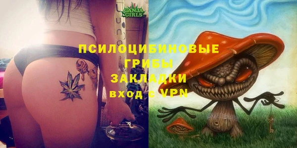 хмурый Мегион
