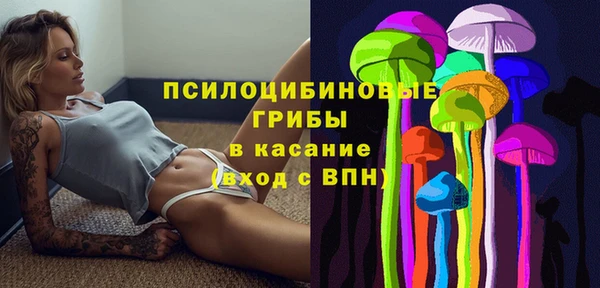 хмурый Мегион