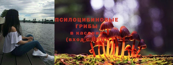 ешки Медвежьегорск